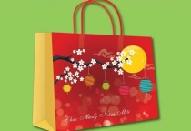 Một số mẫu túi giấy đựng quà tết năm 2019
